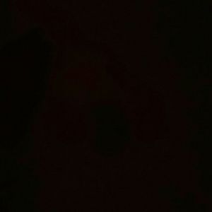 Meet your Posher, Kameron