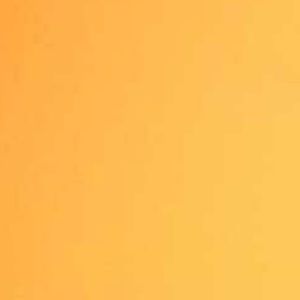 Meet your Posher, Owen