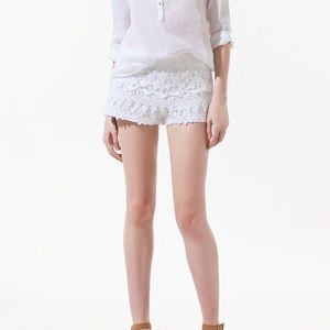 Zara lace short nwt medium