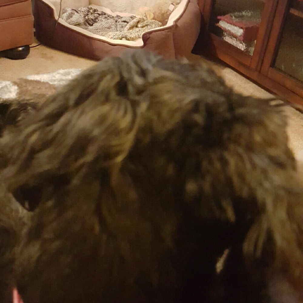 Meet your Posher, Julie