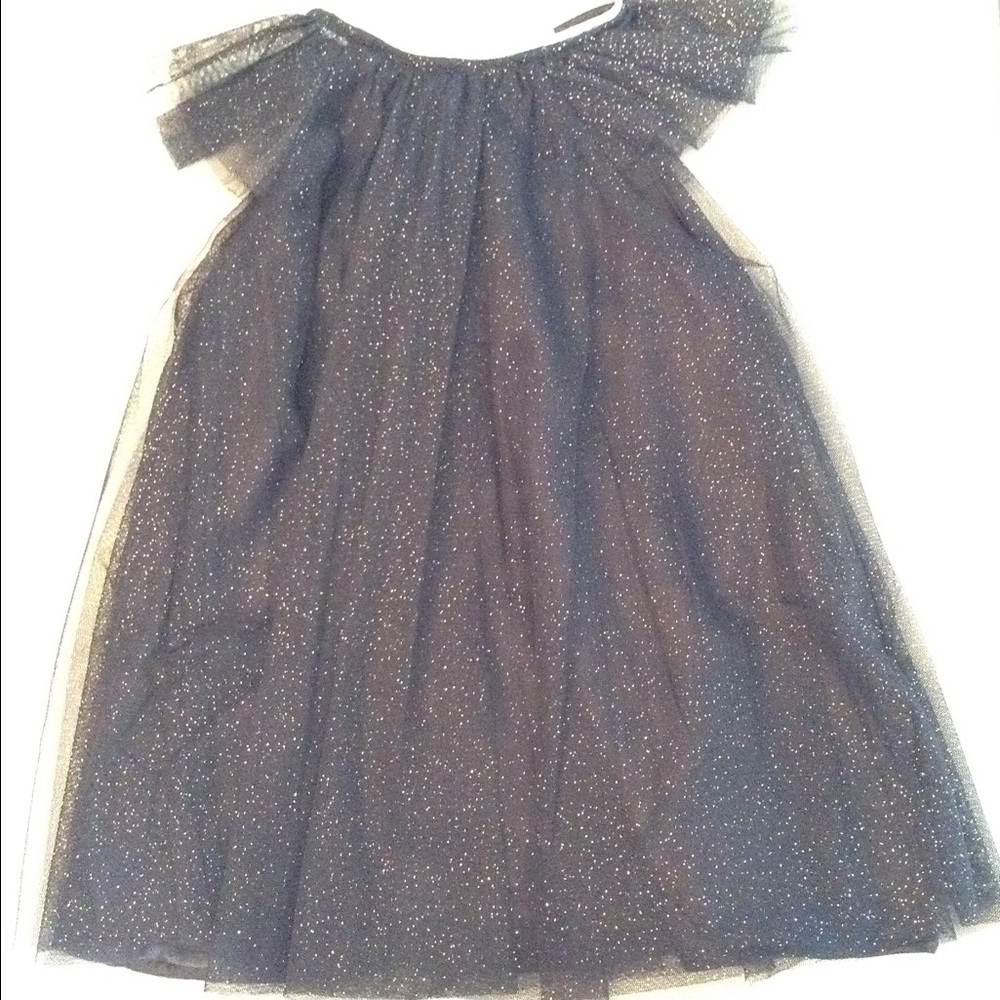 H&M Tulle Navy Sparkle Dress