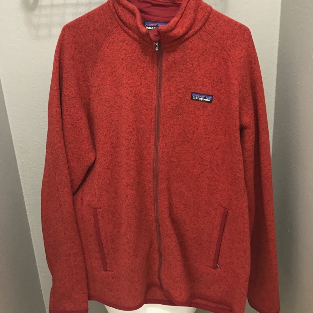 Men's Patagonia Netfwr Sweater jacket