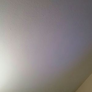 Meet your Posher, Pablo