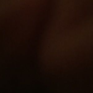 Meet your Posher, Anali