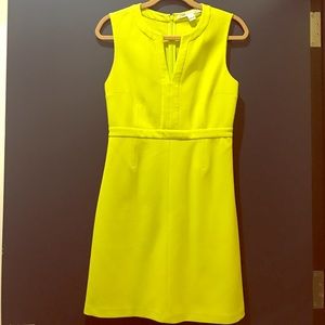 DVF (Barely Worn) Neon Sheath Dress