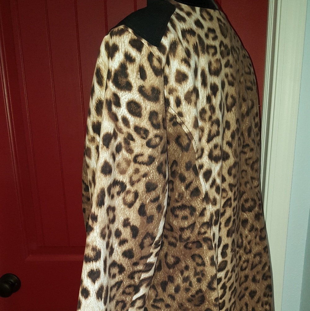 Jacket - Picture 4 of 5