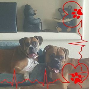 Meet your Posher, Brandi