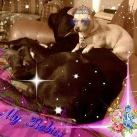 == ME == - Picture 7 of 8