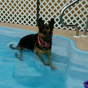 Meet your Posher, Jackson