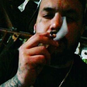 Meet your Posher, Bodene