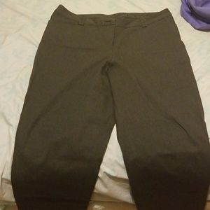 Lane Bryant Gray Trousers