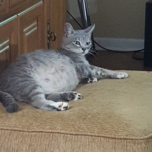 Meet your Posher, Wendy