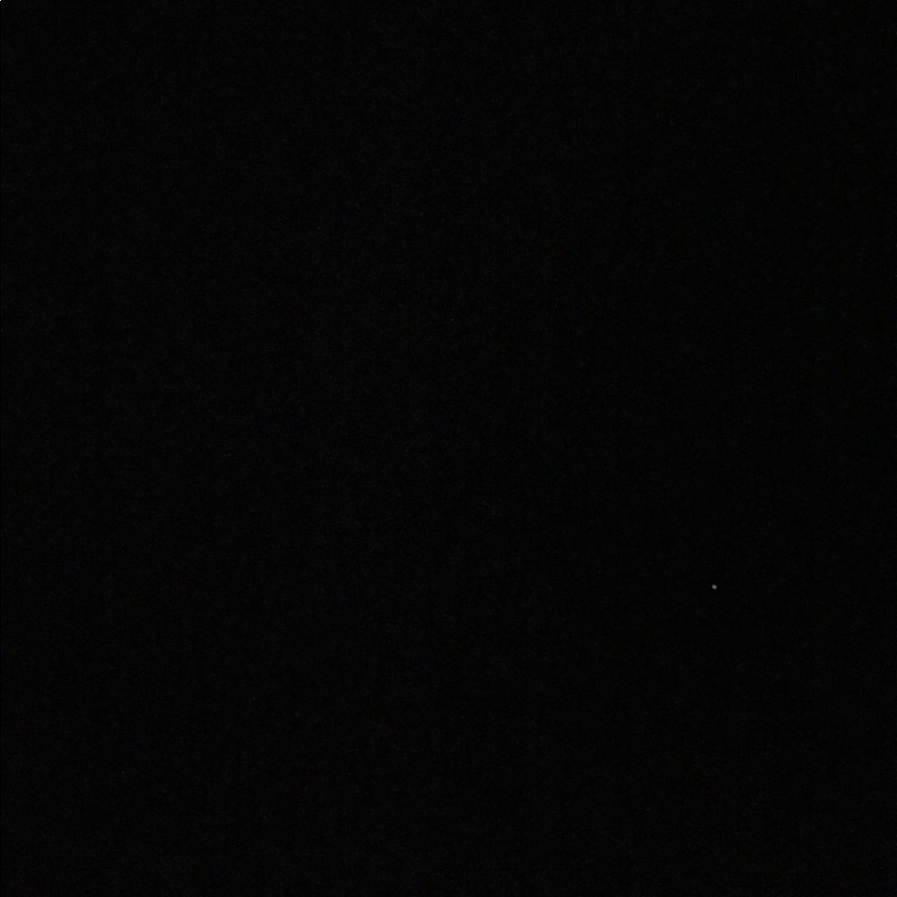 Meet your Posher, Rosa