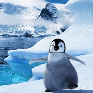 Meet your Posher, Zoë