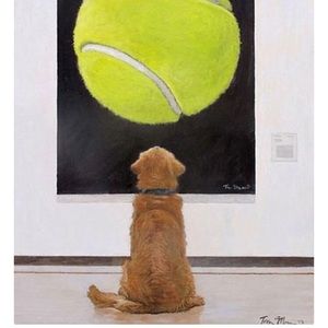 Meet your Posher, Pam