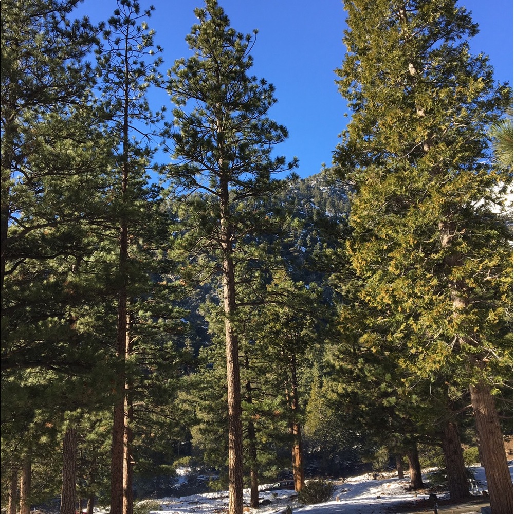 Meet your Posher, Alexes