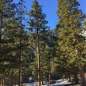 Meet your Posher, Alexes