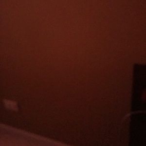 Meet your Posher, Delila