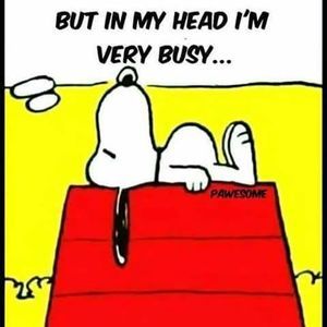 Meet your Posher, Dianne