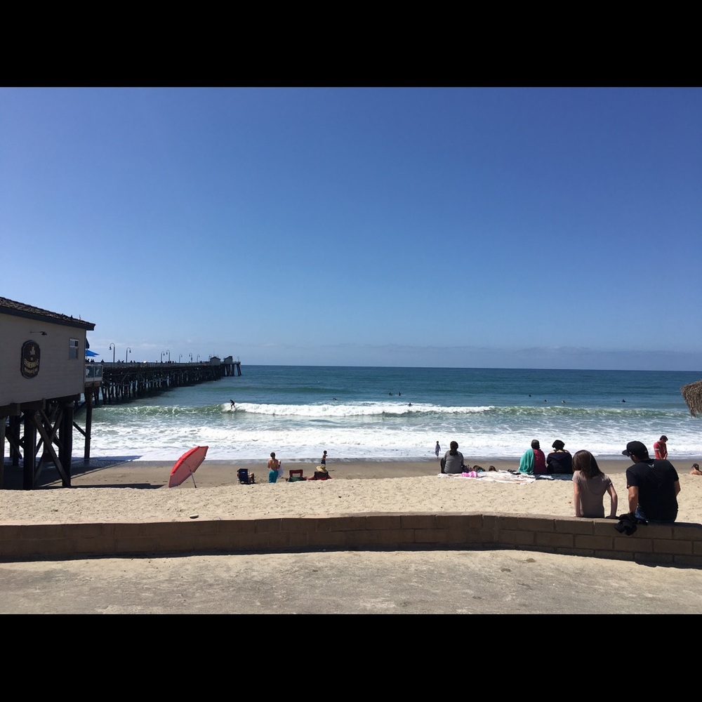 Meet your Posher, Cat