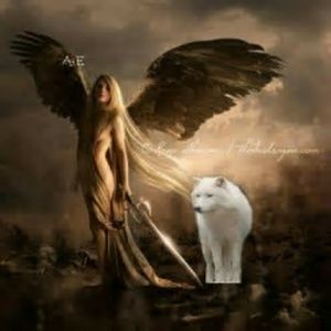 Meet your Posher, Danny