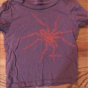 Peek kids spider tshirt