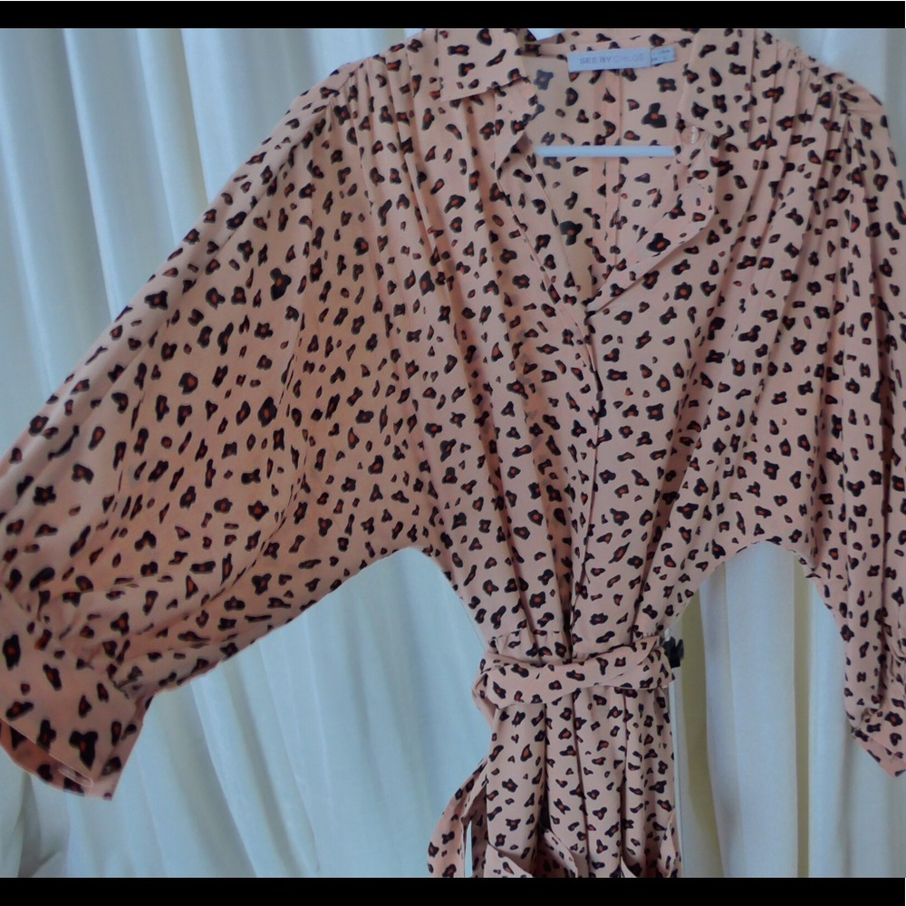 Silk See By Chloe dresss