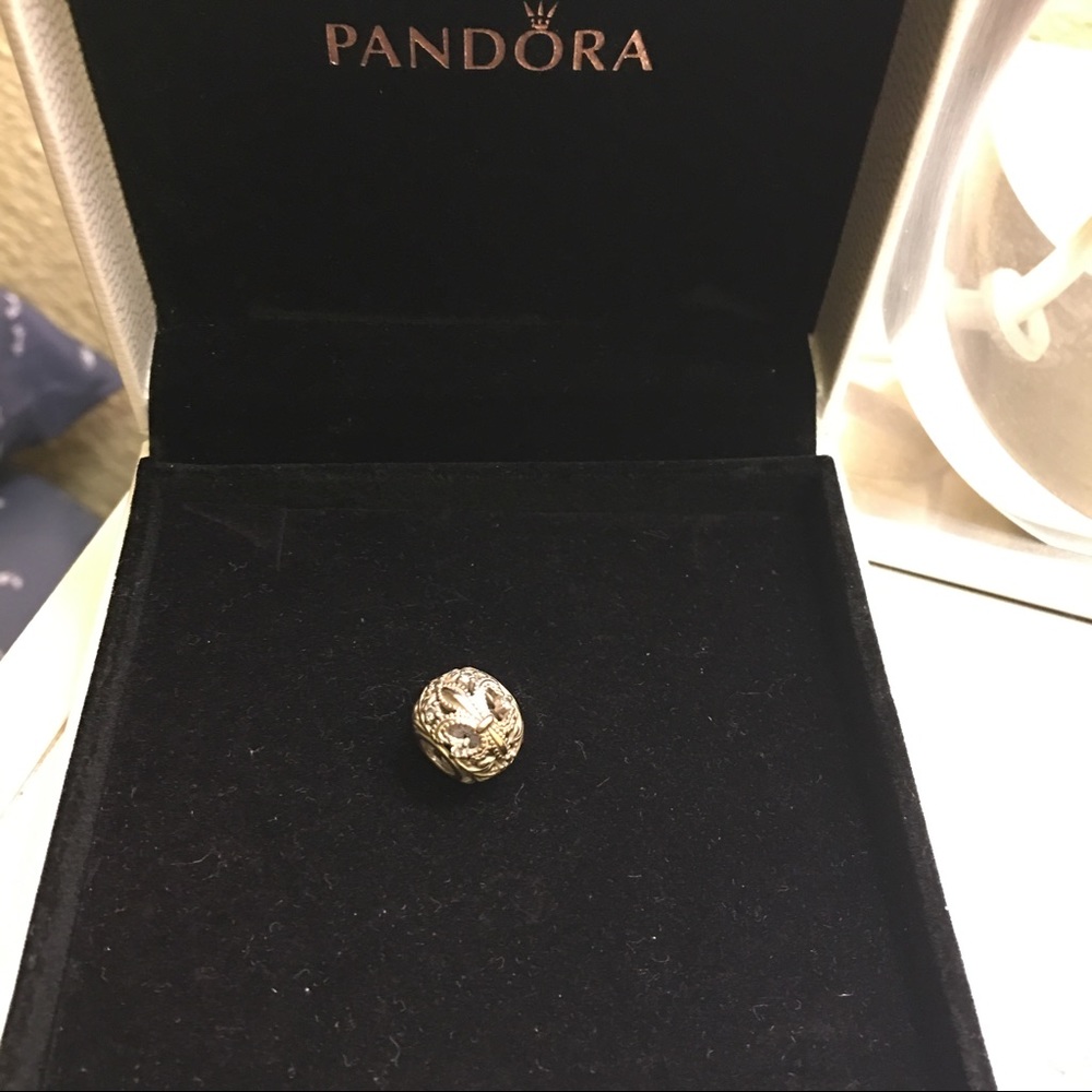 Pandora Charms