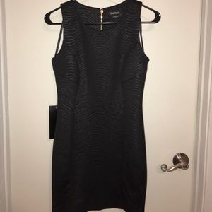 Black on blk zebra Bebe mini dress