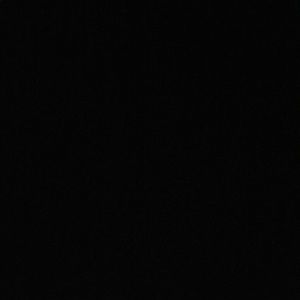 Meet your Posher, Ronesha