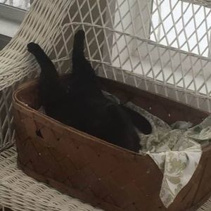 Meet your Posher, Margaret