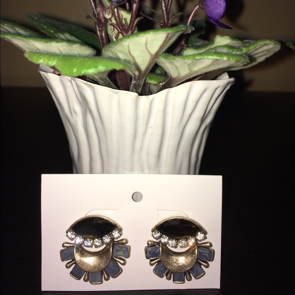 Banana Republic earrings for pierced ears.