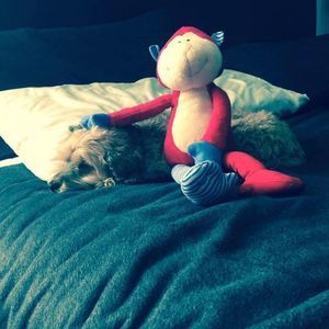 Meet your Posher, Sharlene