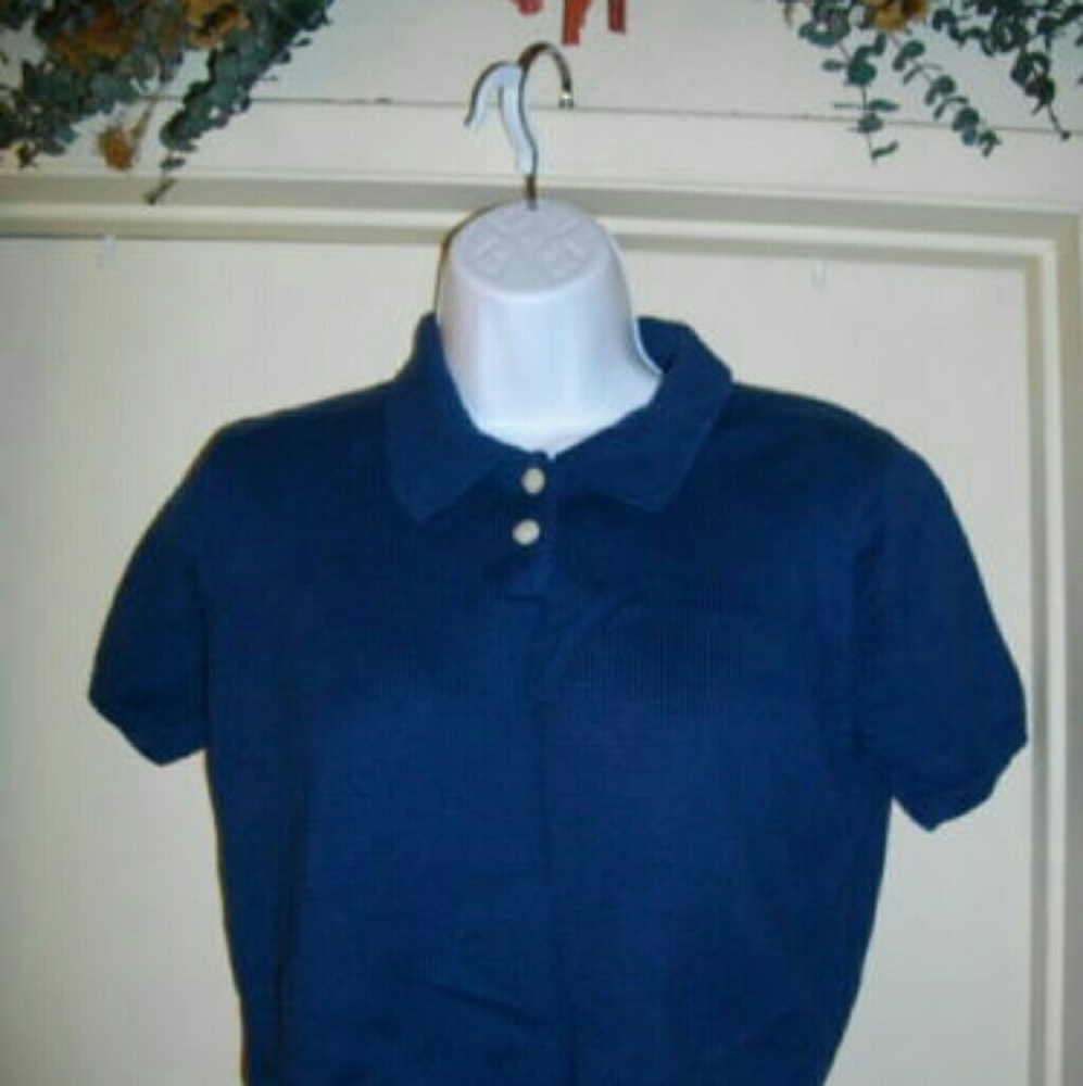 Banana Republic Blue Short Sleeves M Crop Sweater -- Final Price