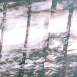 Meet your Posher, Olesia