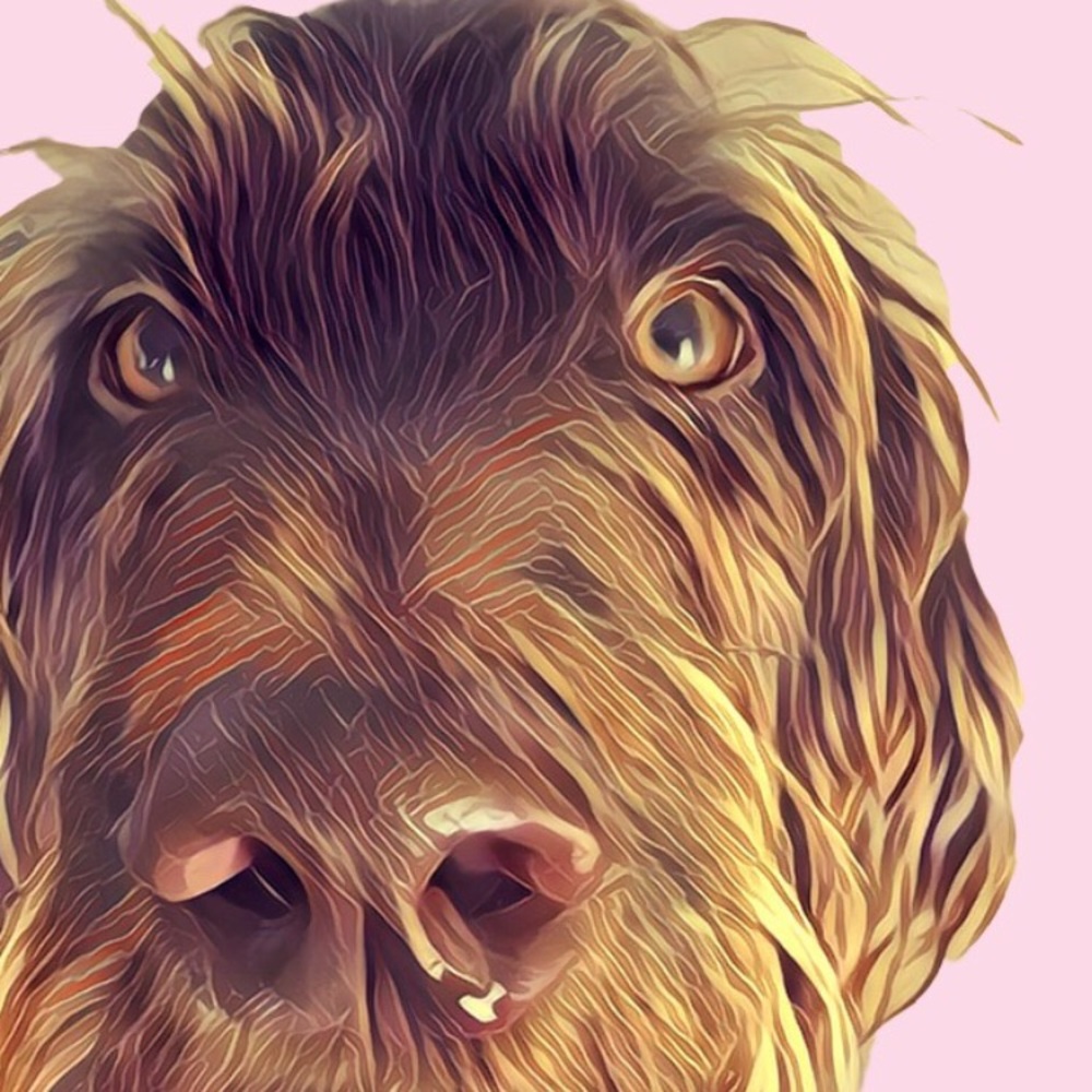 Meet your Posher, Robyn