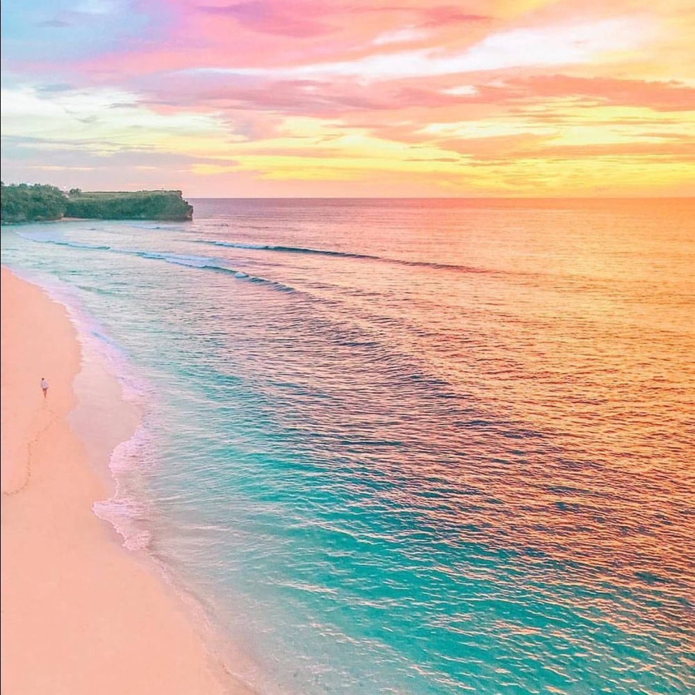 Meet your Posher, Alice