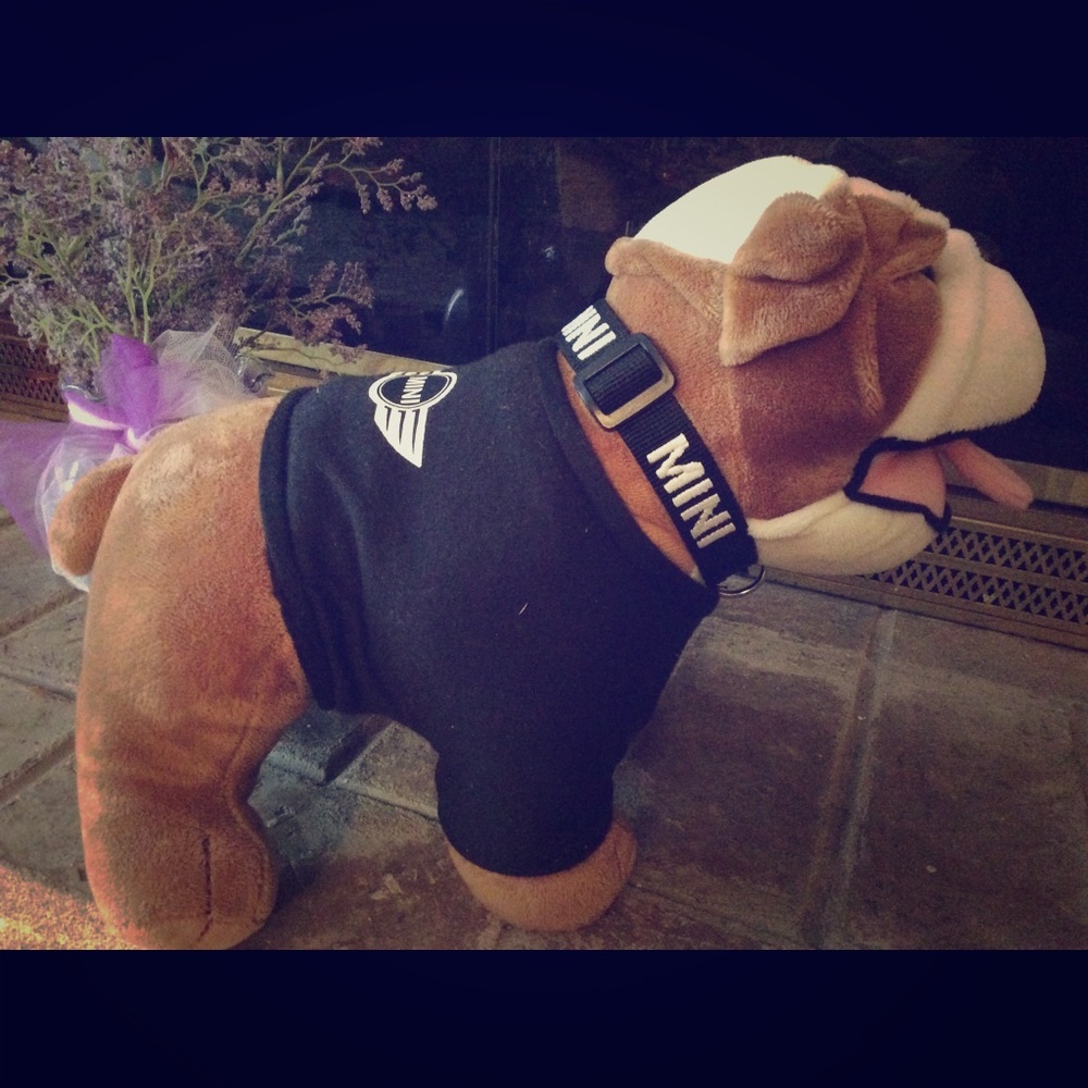 Mini Cooper stuffed toy.