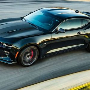 Meet your Posher, George