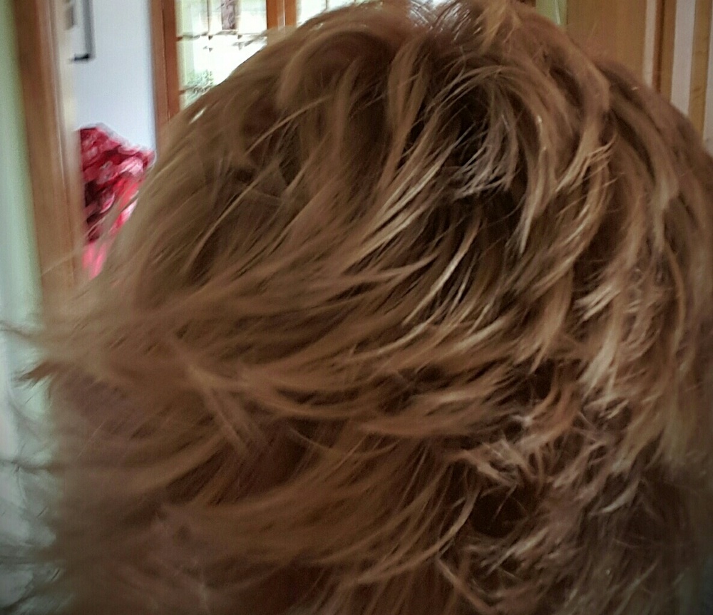 Meet your Posher, Lisa