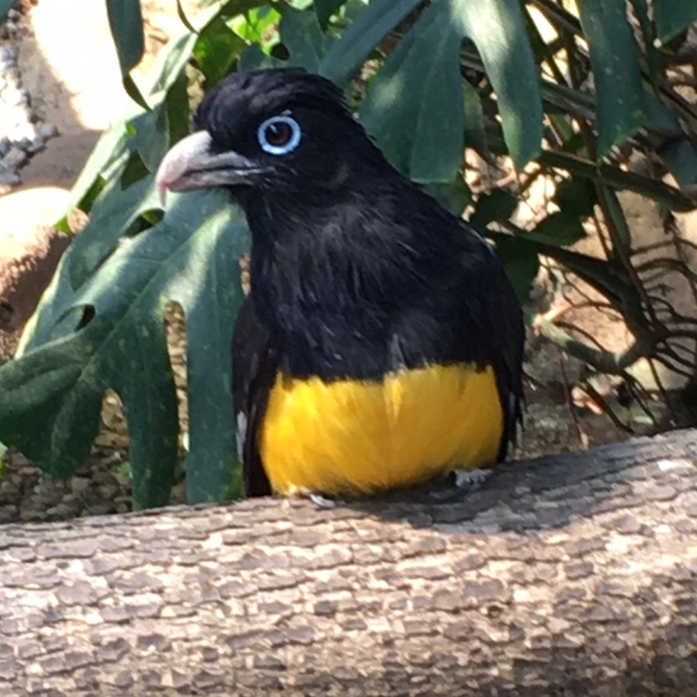 Meet your Posher, Carolynn