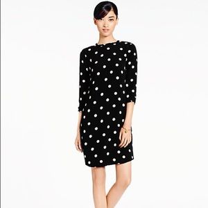 Kate Spade Dizzy Dot Dress Size 12