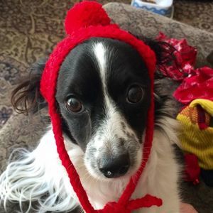 Meet your Posher, Meredith