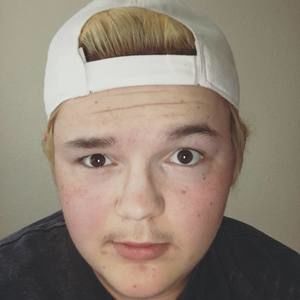 Meet your Posher, Willard