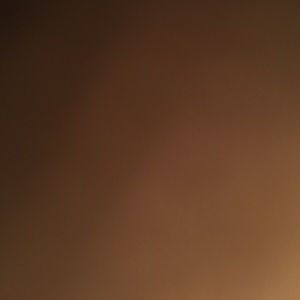 Meet your Posher, Bryce