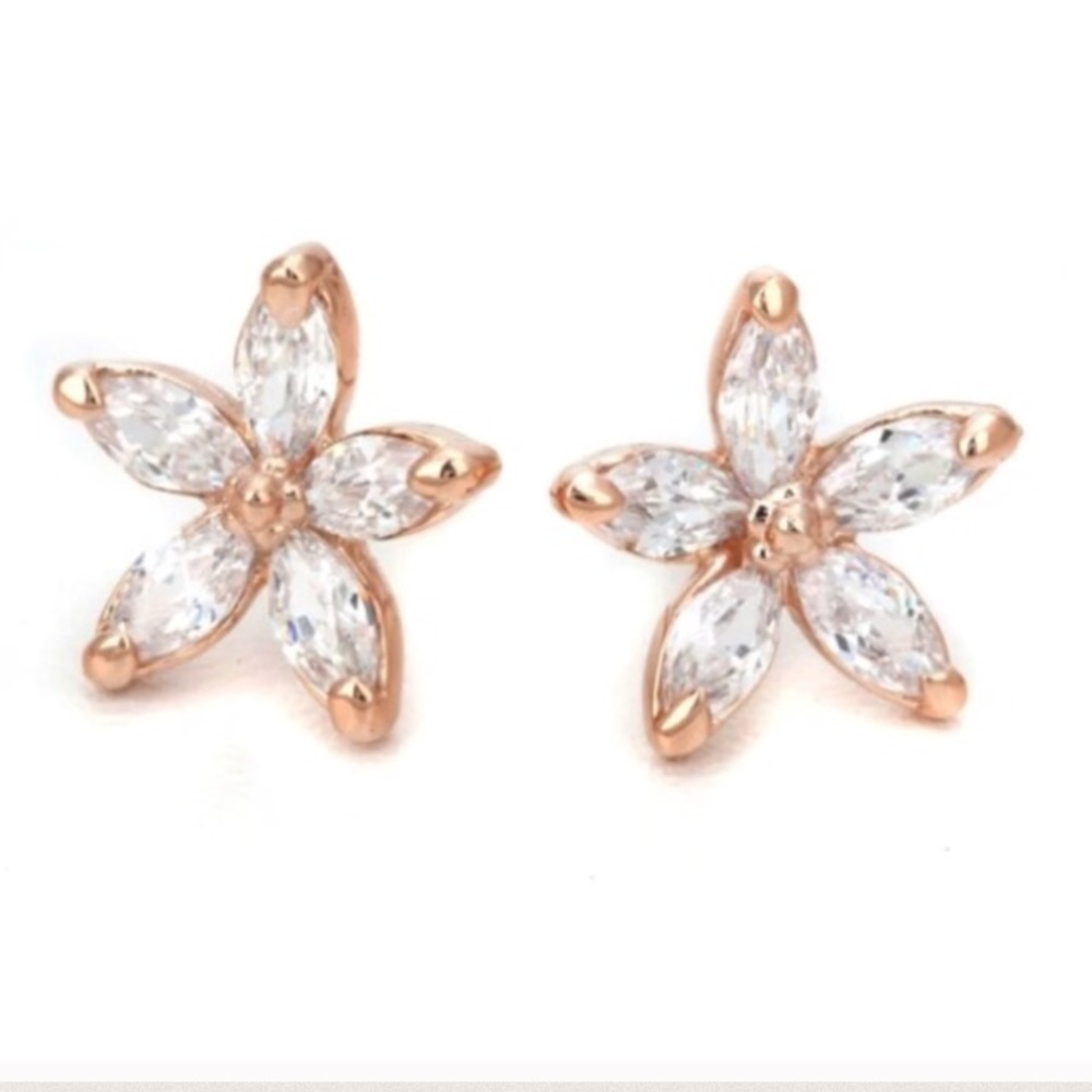 ✨Genuine Austrian Crystal studs✨