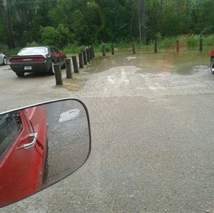 Meet your Posher, Jann