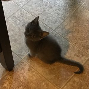 Meet your Posher, Bri