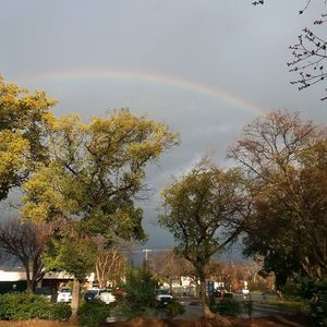 Meet your Posher, Aries