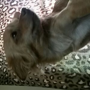 Meet your Posher, Summer